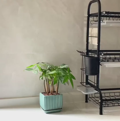 Escurridor de Cocina en Acero Inoxidable 3 niveles Elegante y Compacto
